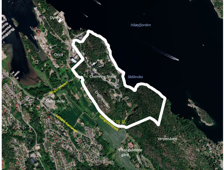 Reguleringsplan for Engene, Chemring Nobel, Asker kommune, kommentar