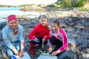 Larvik kommune: Temaplan for folkehelse, idrett, fysisk aktivitet og frivillighet. Kommentarer